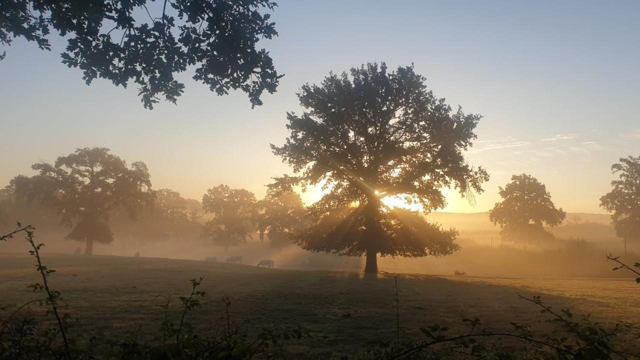 Glamping Les Arbres, Luxe Safaritent Met Zwembad Cronat 외부 사진